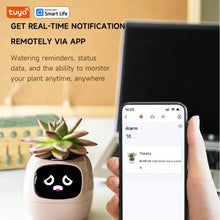 Load image into Gallery viewer, Florana™  - Tuya Ivy Smart Planter - Florana™ 
