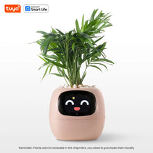 Load image into Gallery viewer, Florana™  - Tuya Ivy Smart Planter - Florana™ 
