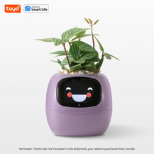Load image into Gallery viewer, Florana™  - Tuya Ivy Smart Planter - Florana™ 
