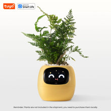 Load image into Gallery viewer, Florana™  - Tuya Ivy Smart Planter - Florana™ 
